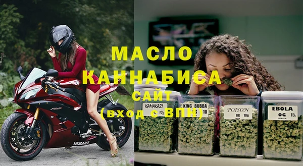 ГАЛЛЮЦИНОГЕННЫЕ ГРИБЫ Богданович