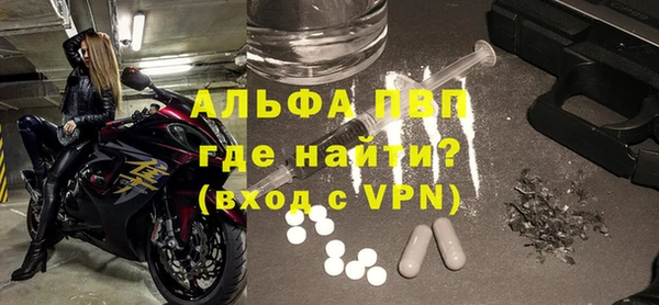 ГАЛЛЮЦИНОГЕННЫЕ ГРИБЫ Богданович