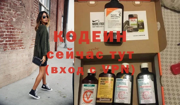 ГАЛЛЮЦИНОГЕННЫЕ ГРИБЫ Богданович