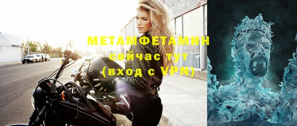 ГАЛЛЮЦИНОГЕННЫЕ ГРИБЫ Богданович