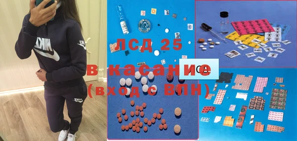 ГАЛЛЮЦИНОГЕННЫЕ ГРИБЫ Богданович
