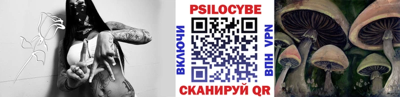 Купить закладки  Ирбит  Псилоцибиновые грибы ЛСД 